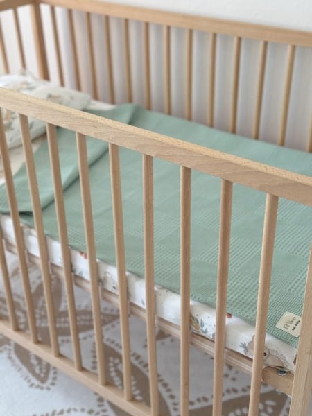 KOALA PATTERNED PIQUE SET